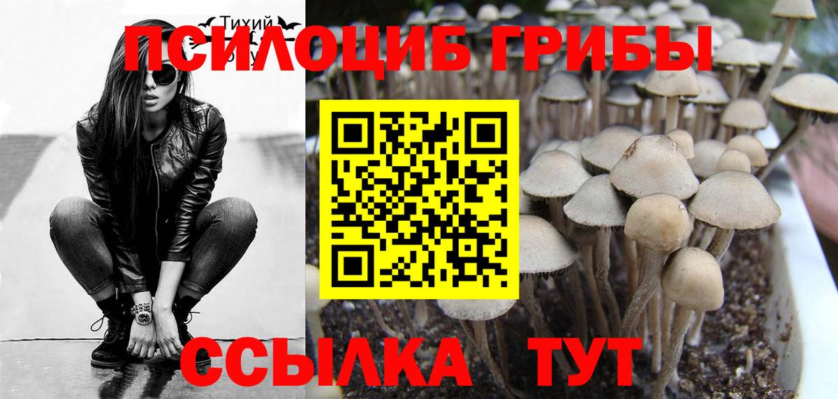 Елизово  Галлюциногенные грибы Magic Shrooms  Вход с VPN 
